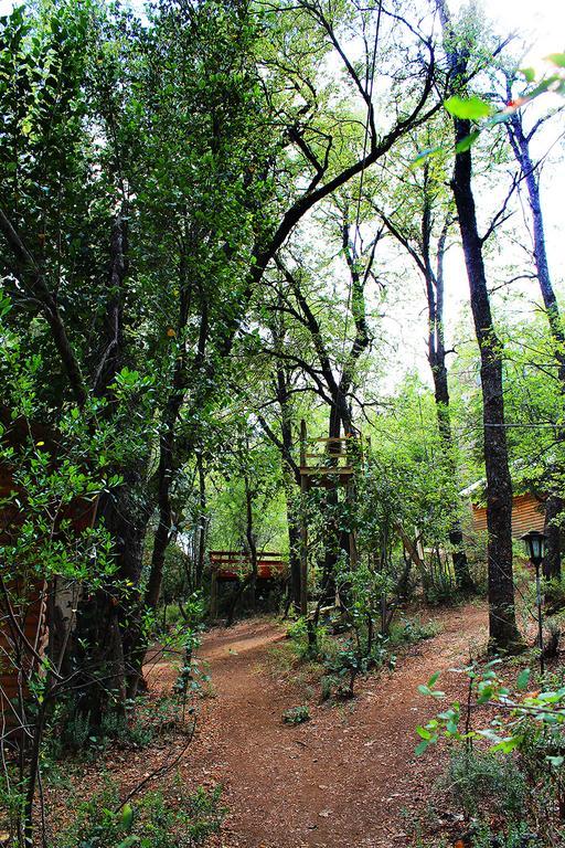 Cabanas Bafemadi Las Trancas Exteriér fotografie