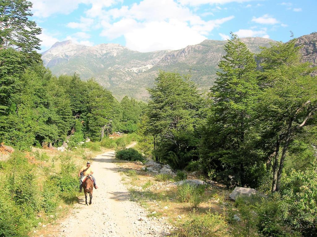 Cabanas Bafemadi Las Trancas Exteriér fotografie