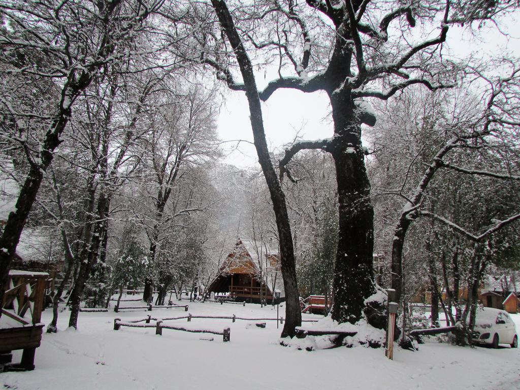 Cabanas Bafemadi Las Trancas Exteriér fotografie