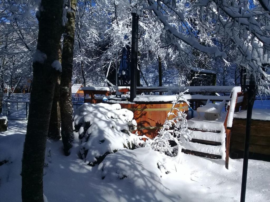 Cabanas Bafemadi Las Trancas Exteriér fotografie